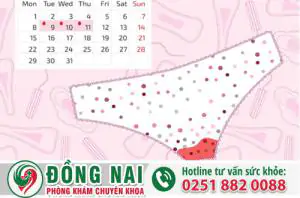 da khoa hong phuc