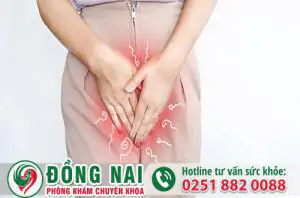 da khoa hong phuc